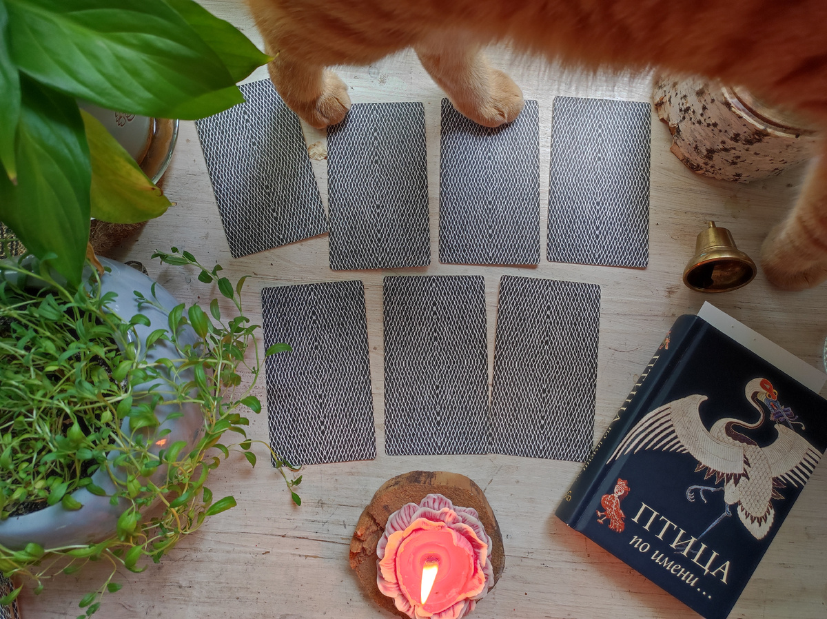 Пришёл наш друг и по совместительству фамилиар, Иосиф