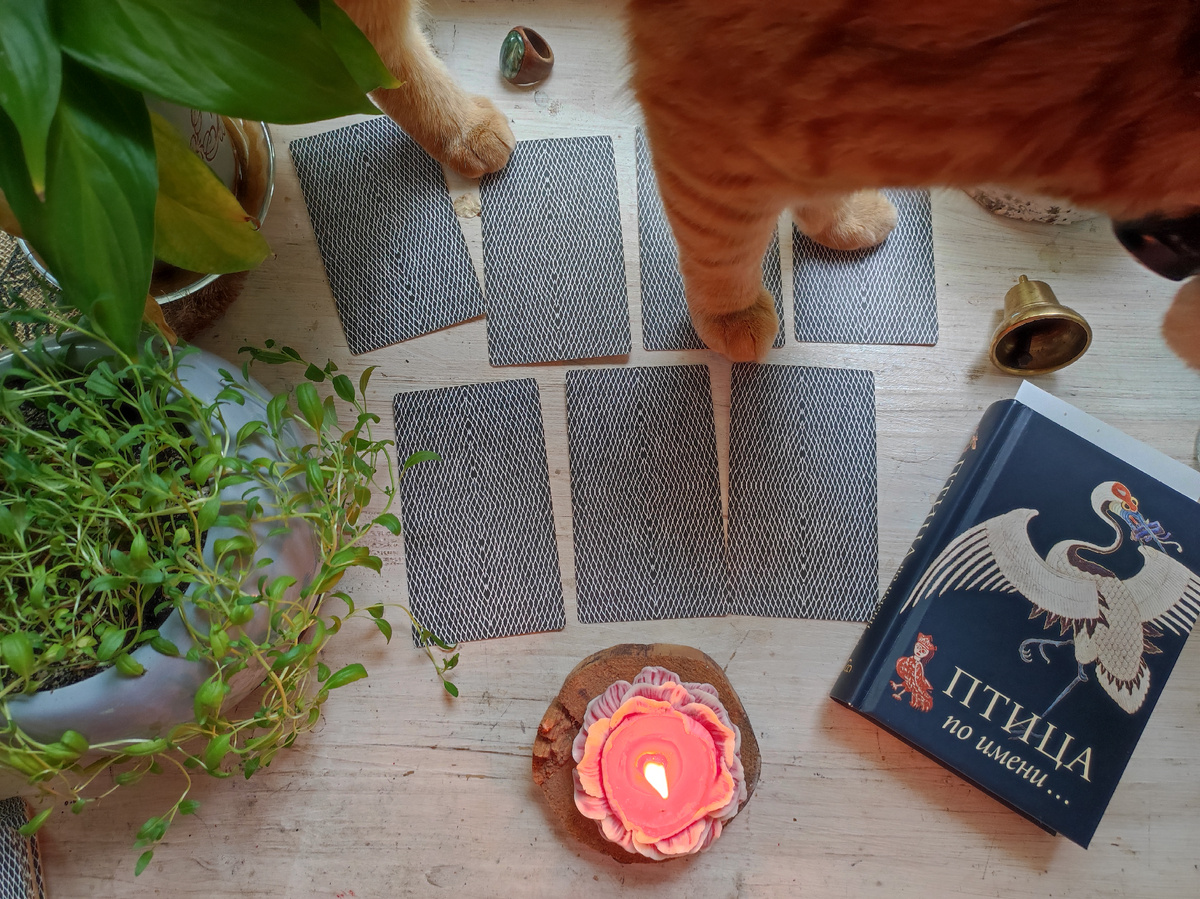 И ещё немножко 