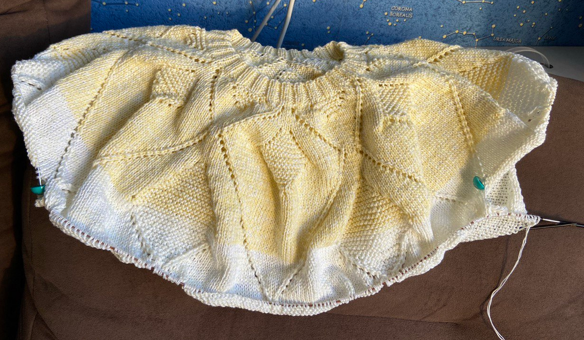  2-е июня - перешла на вязание "тушки"