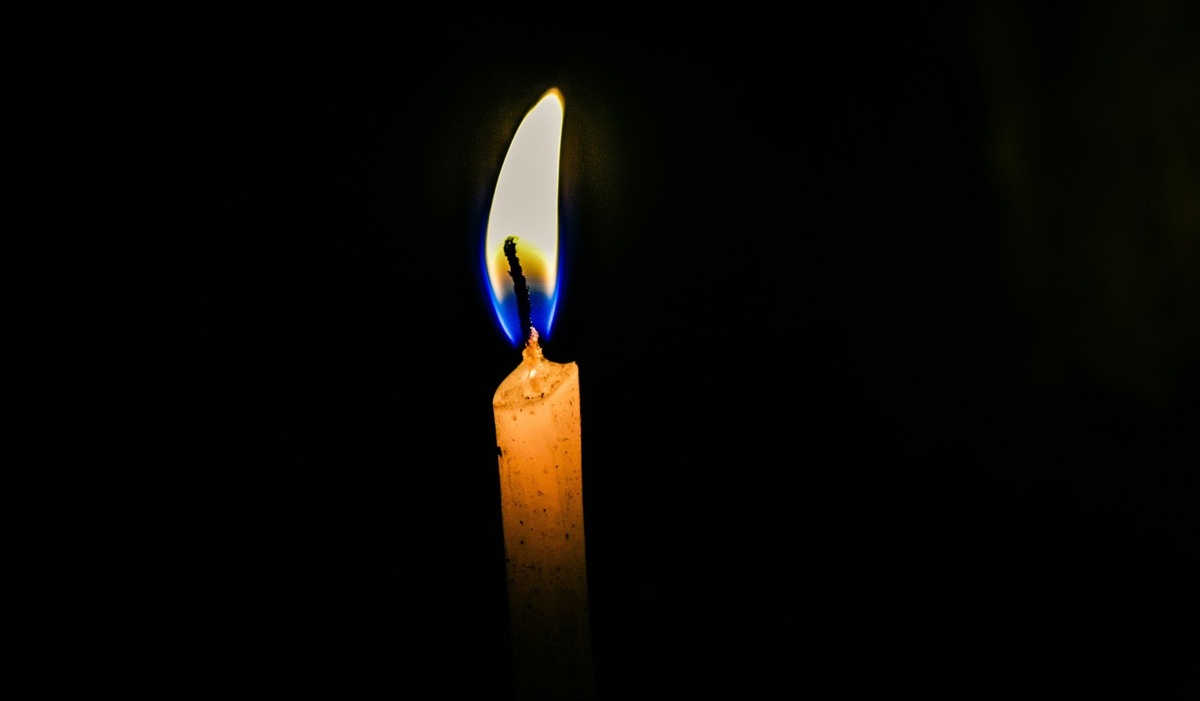    Фото: unsplash.com