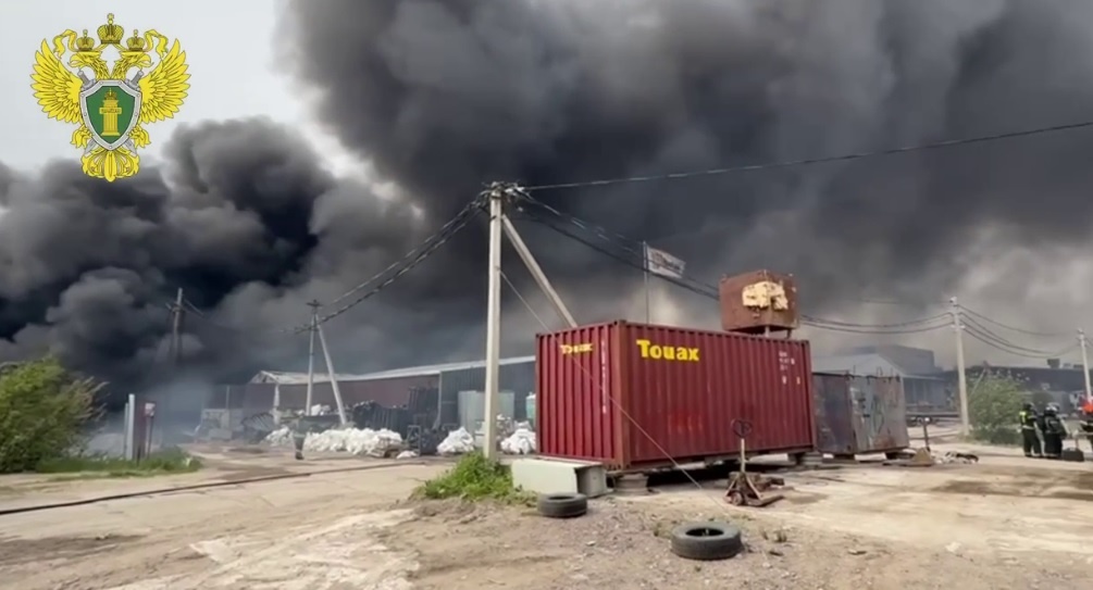 © Прокуратура Ленобласти в Telegram