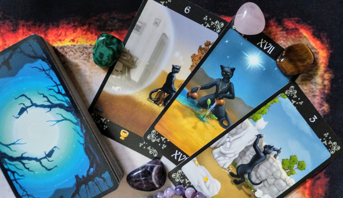 Фото автора.