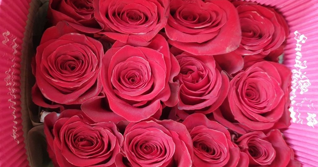 Роза Эквадор оптом. Самая дорогая и непредсказуемая.