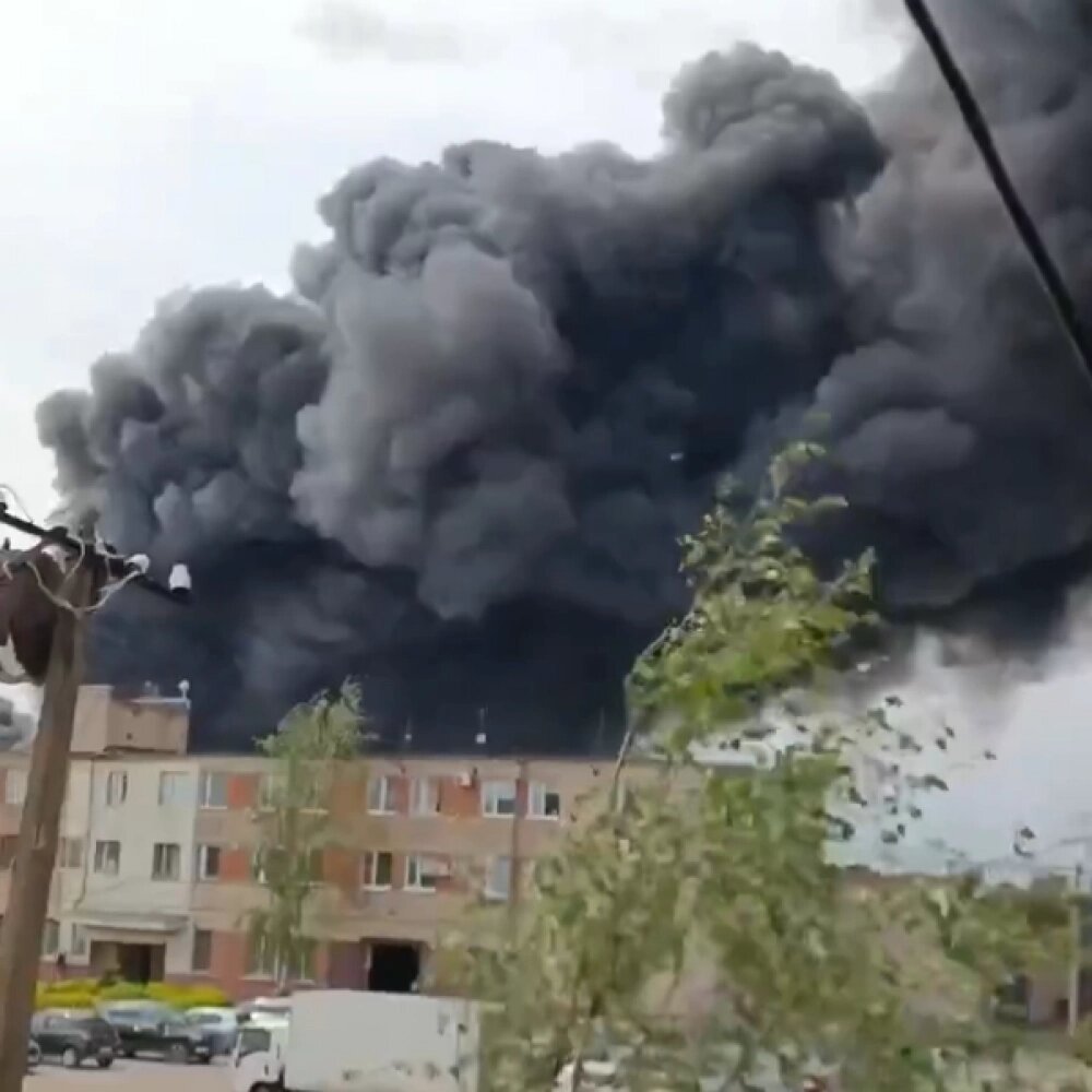    Фото: соцсети