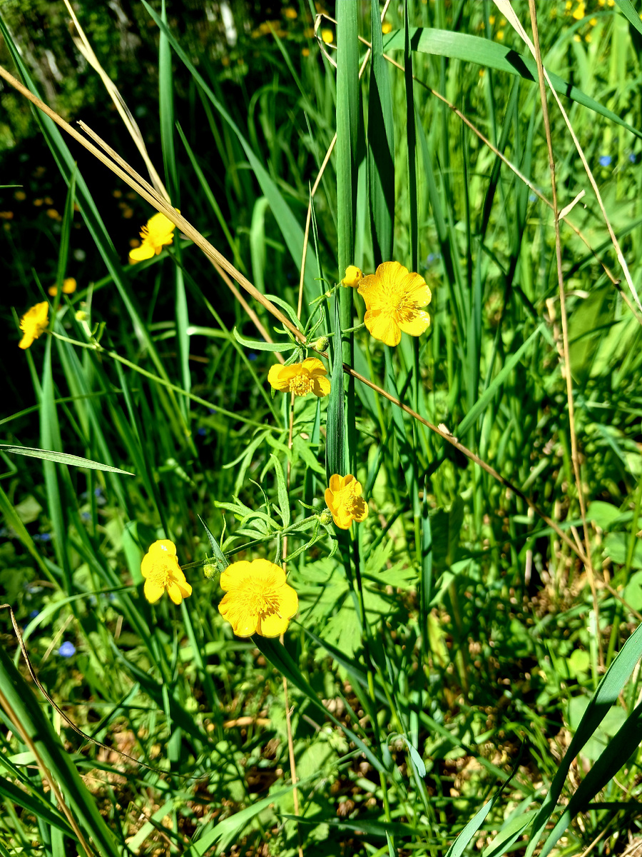 "Доброе утро, мир! Ты прекрасен!" Фото автора