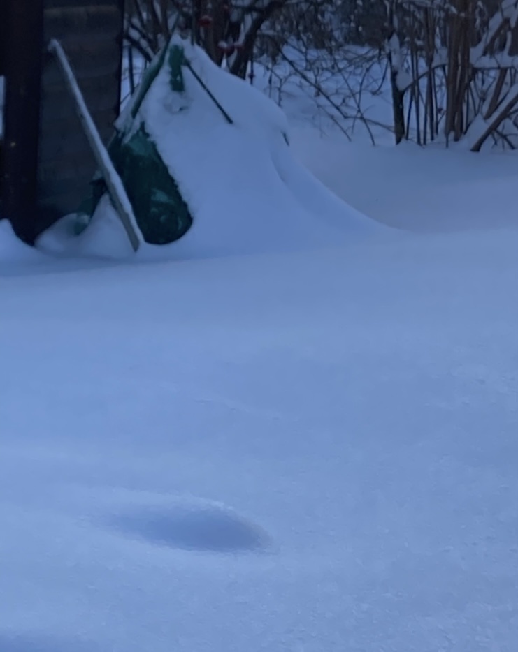 Укрытие под снегом, 1 января 2024 года