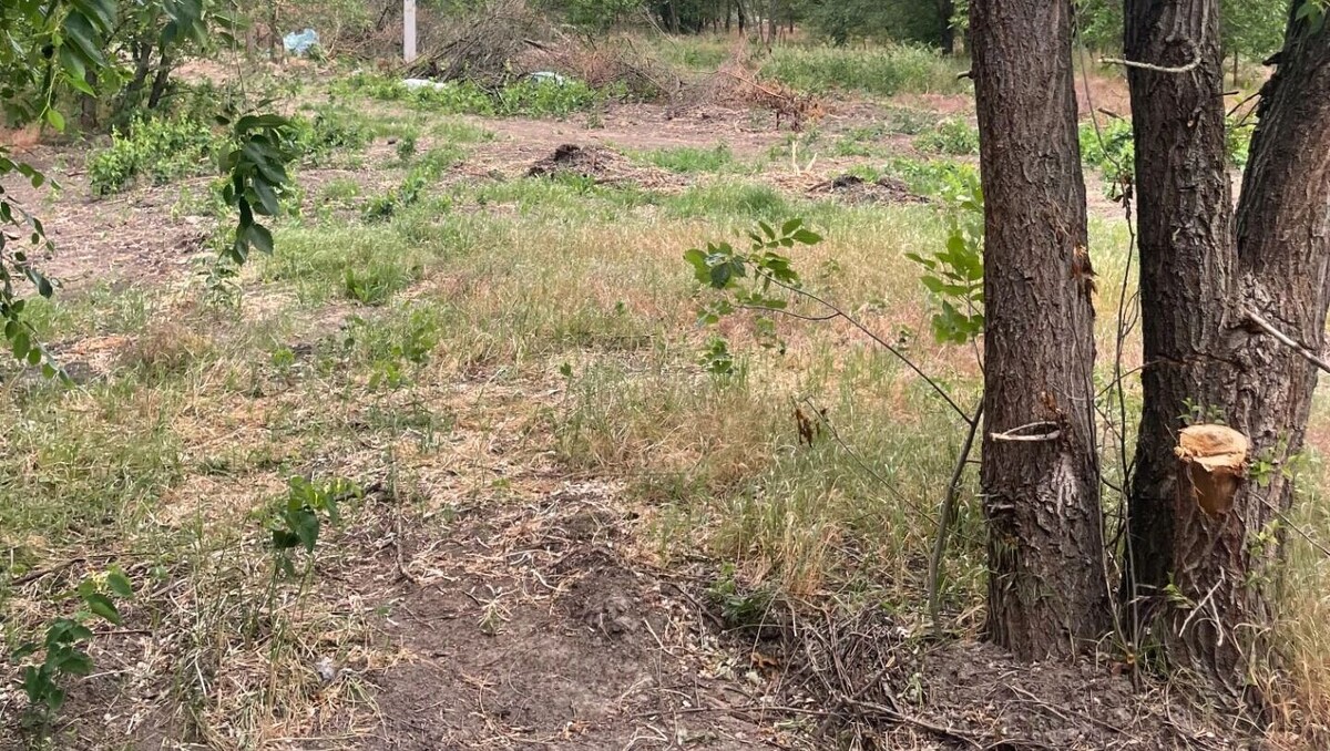     Автор: Читатели Источник: rostovgazeta.ru