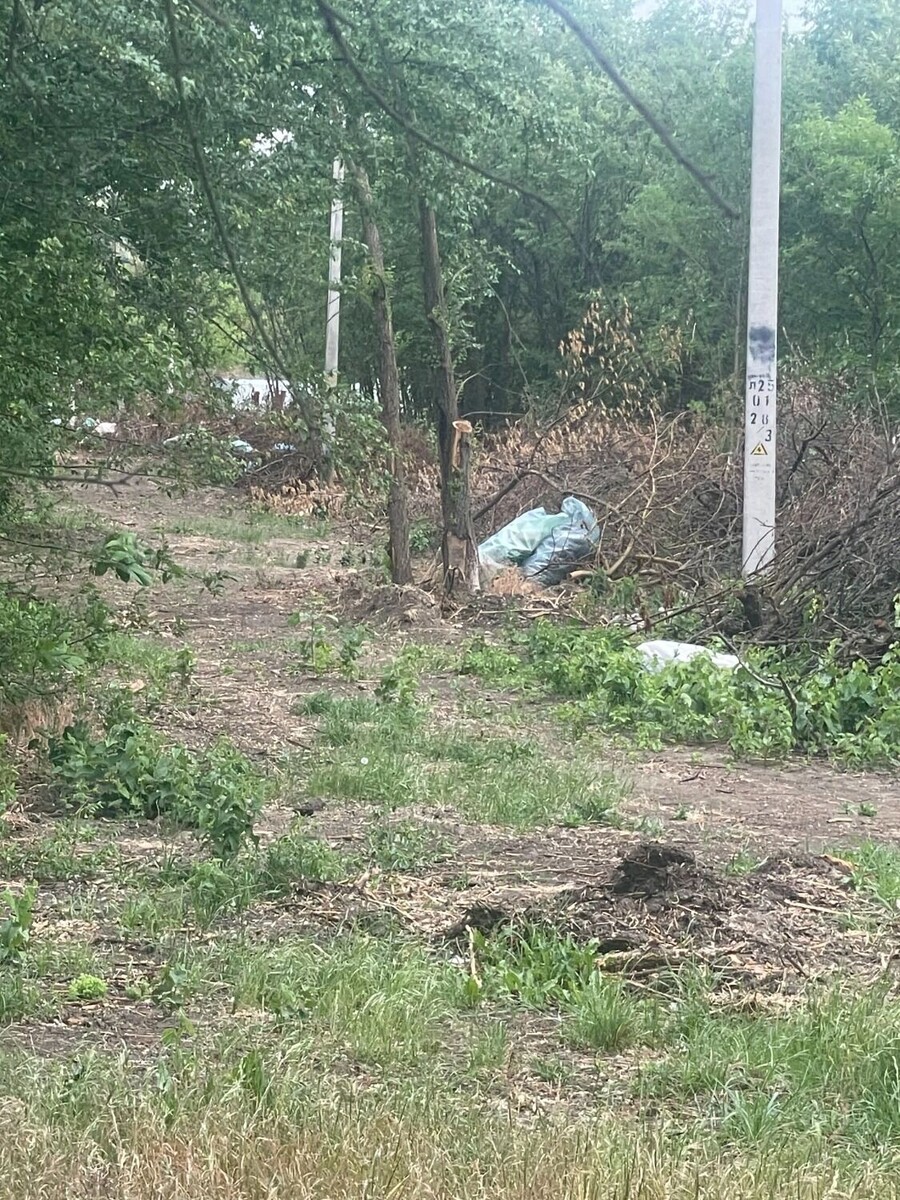     Автор: читатели Источник: rostovgazeta.ru