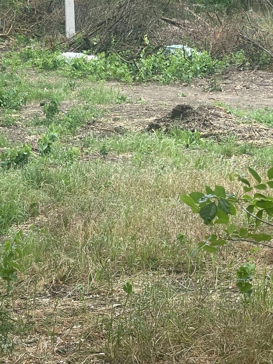     Автор: читатели Источник: rostovgazeta.ru