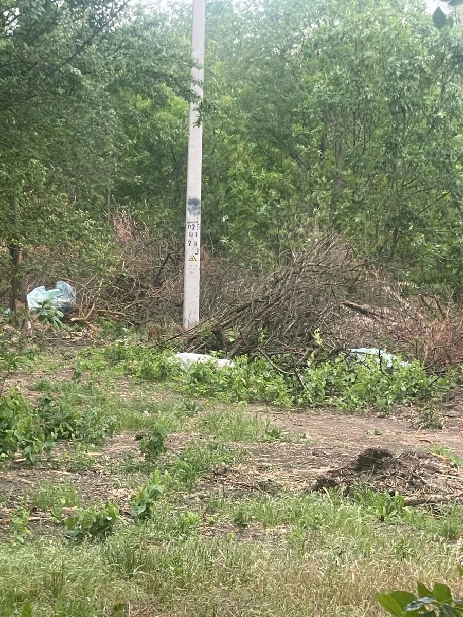     Автор: читатели Источник: rostovgazeta.ru