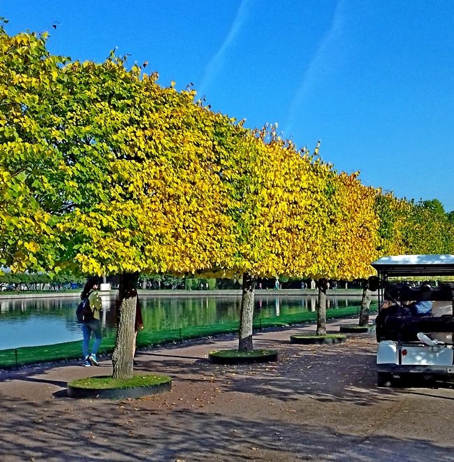 У Марлинского пруда на липовой аллее /фото из личного архива, 2017/