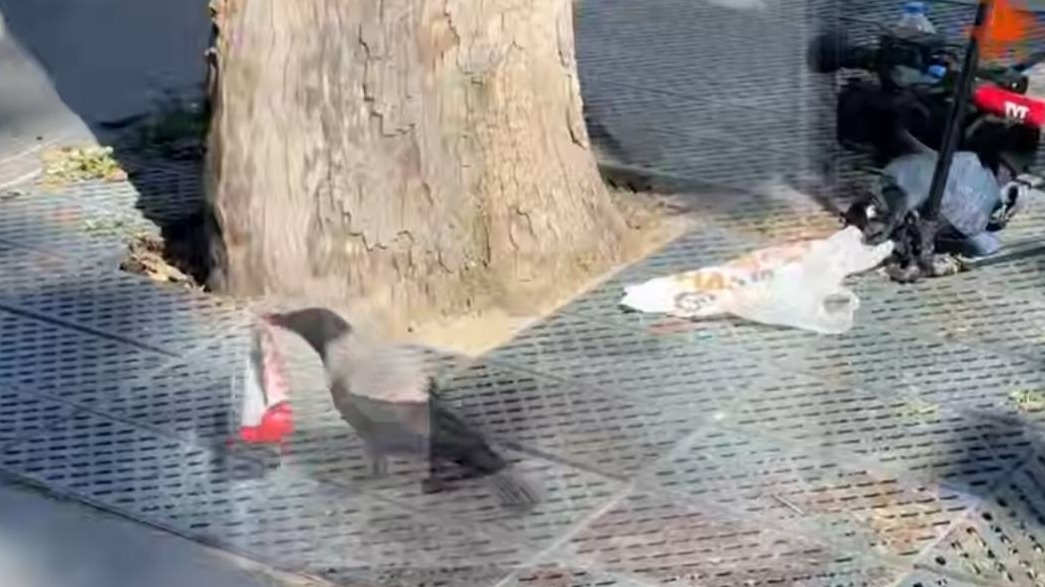    Фото: Скриншот РЕН ТВ / Telegram