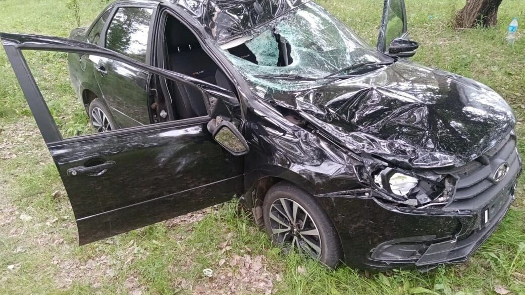     Источник: СУ СКР по Волгоградской области