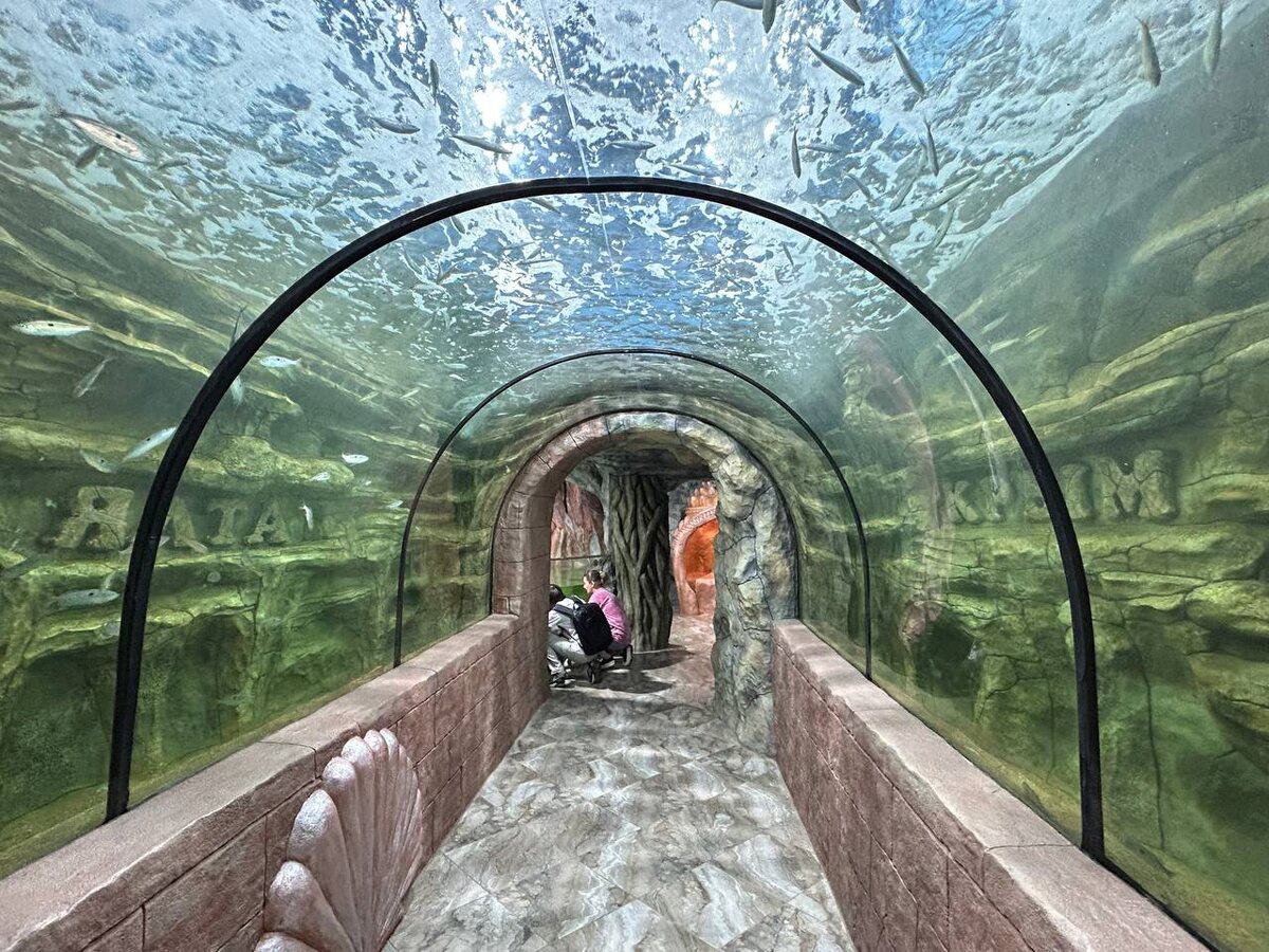  Не стучите по стеклу — рыбы не открывают.