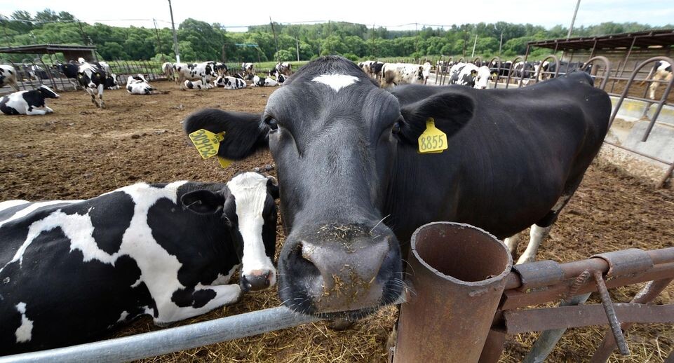    Медиасток.рф