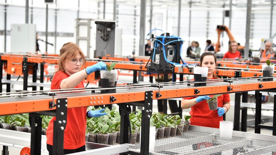 Фото: Пресс-служба правительства Ярославской области