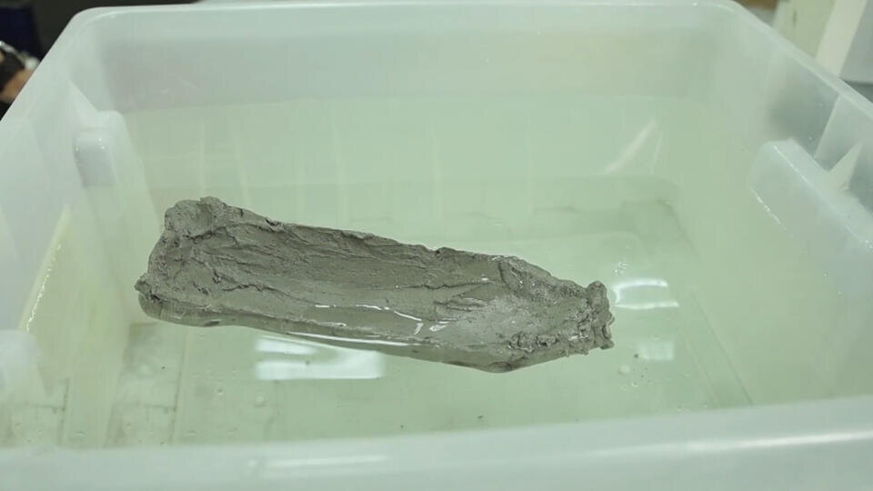 Фото: © Кадр из программы "Знаете ли вы, что?", РЕН ТВ