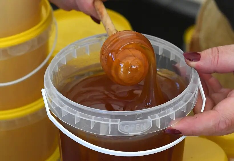     © РИА Новости. Илья Наймушин