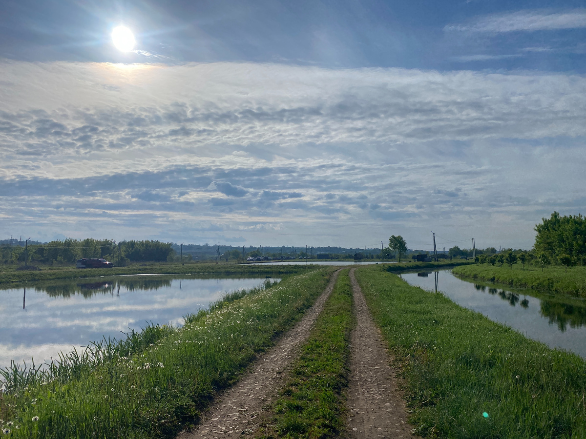 Плехановские пруды - целый комплекс классных водоемов!