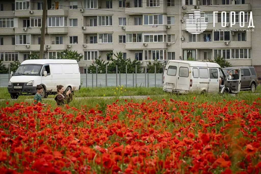 Не останавливает даже дождь
