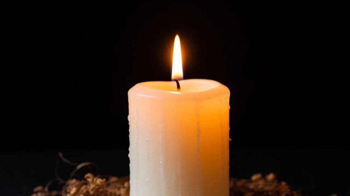    Сгенерировано ИИ