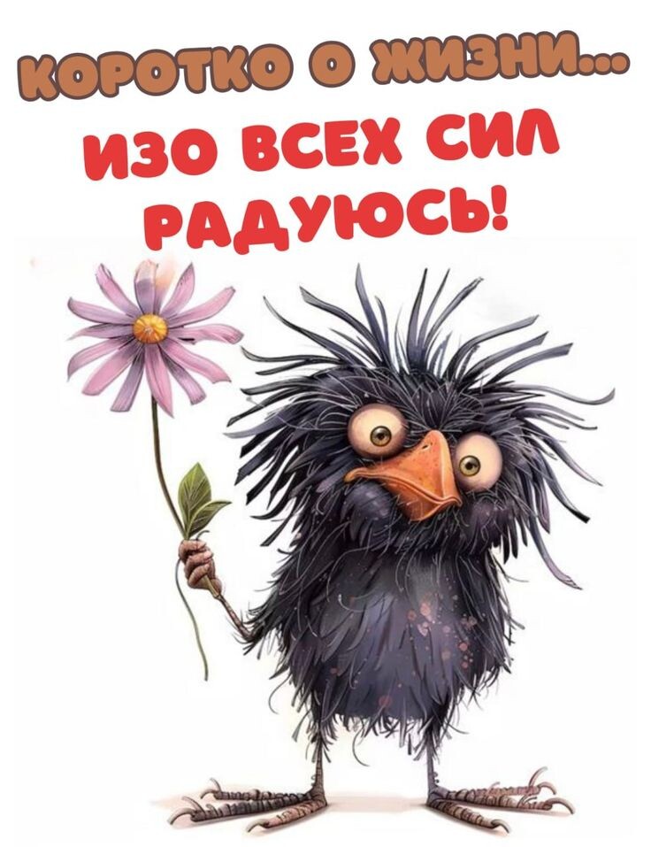 Фото из интернета.