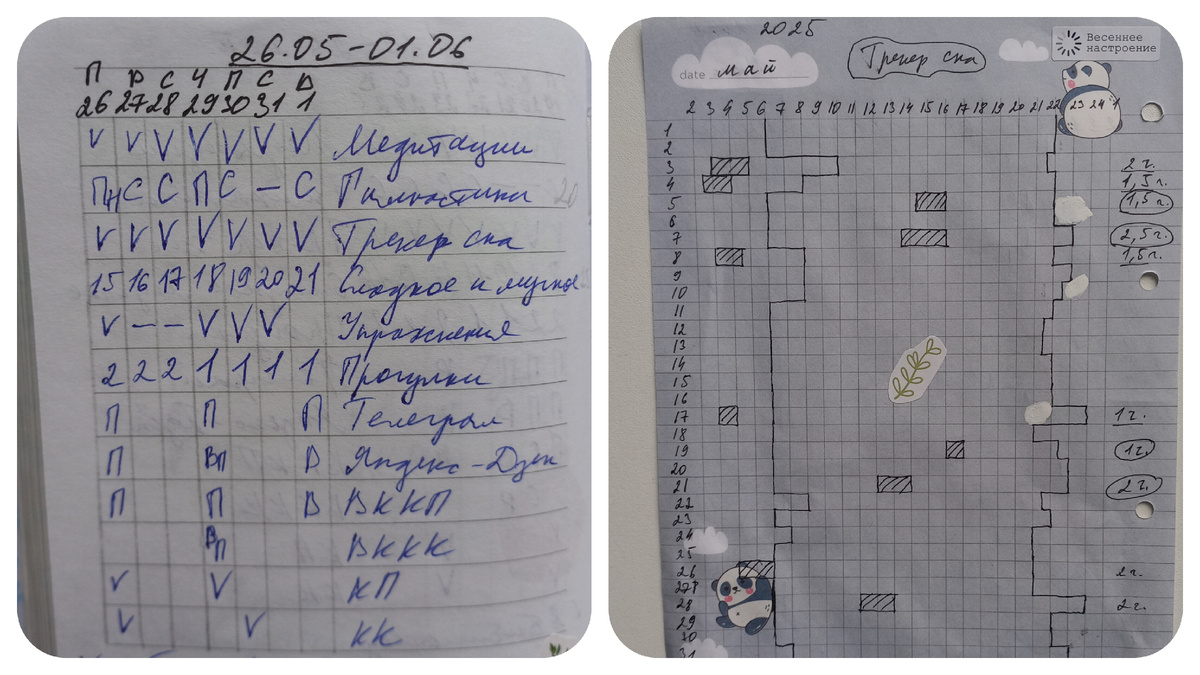 Трекер режима дня май 2025 и план недели 26 мая – 1 июня