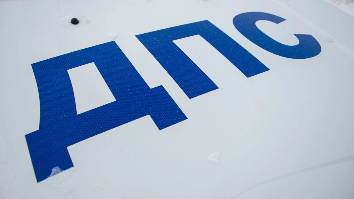    Фото: Юрий Здебский / «Ямал-Медиа»