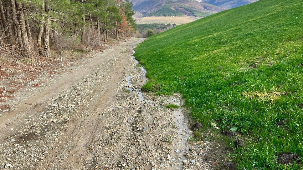 Фото: Пресс-служба администрации Краснодарского края