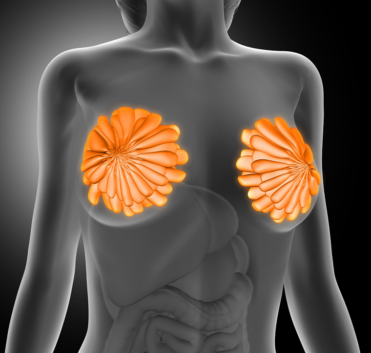 Изображение от freepik