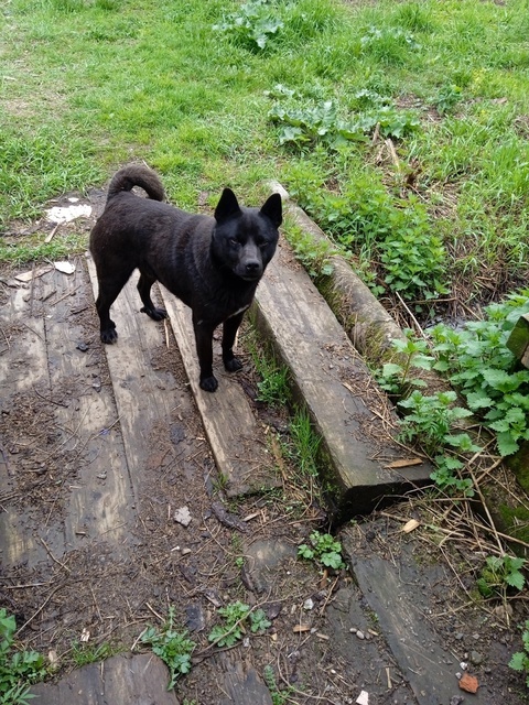 Фото из соцсетей ВКонтакте