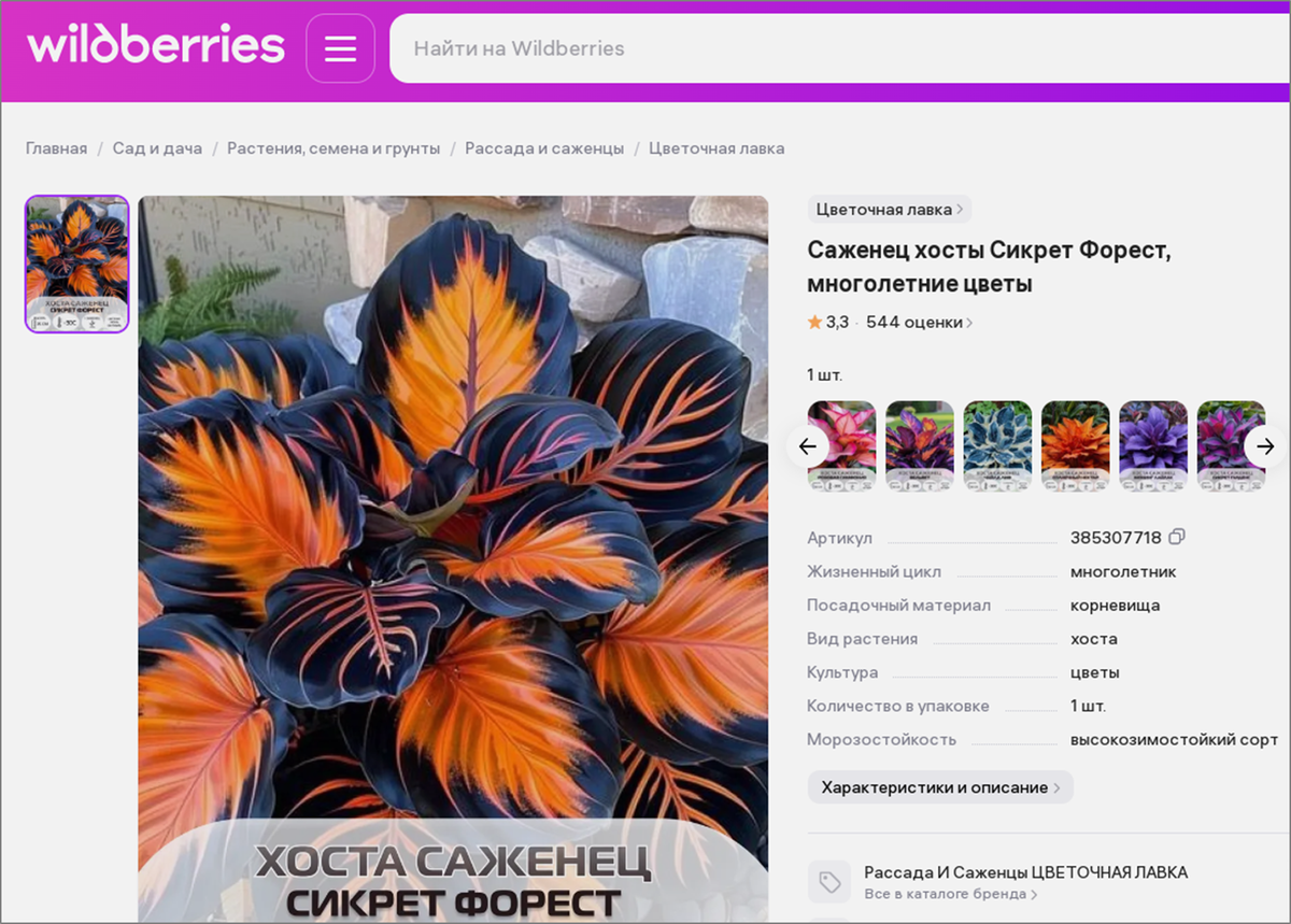 Продавец "Цветочная лавка", www.wildberries.ru