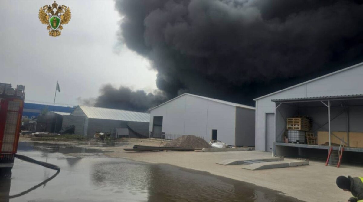 Фото: пресс-служба прокуратуры Ленинградской области