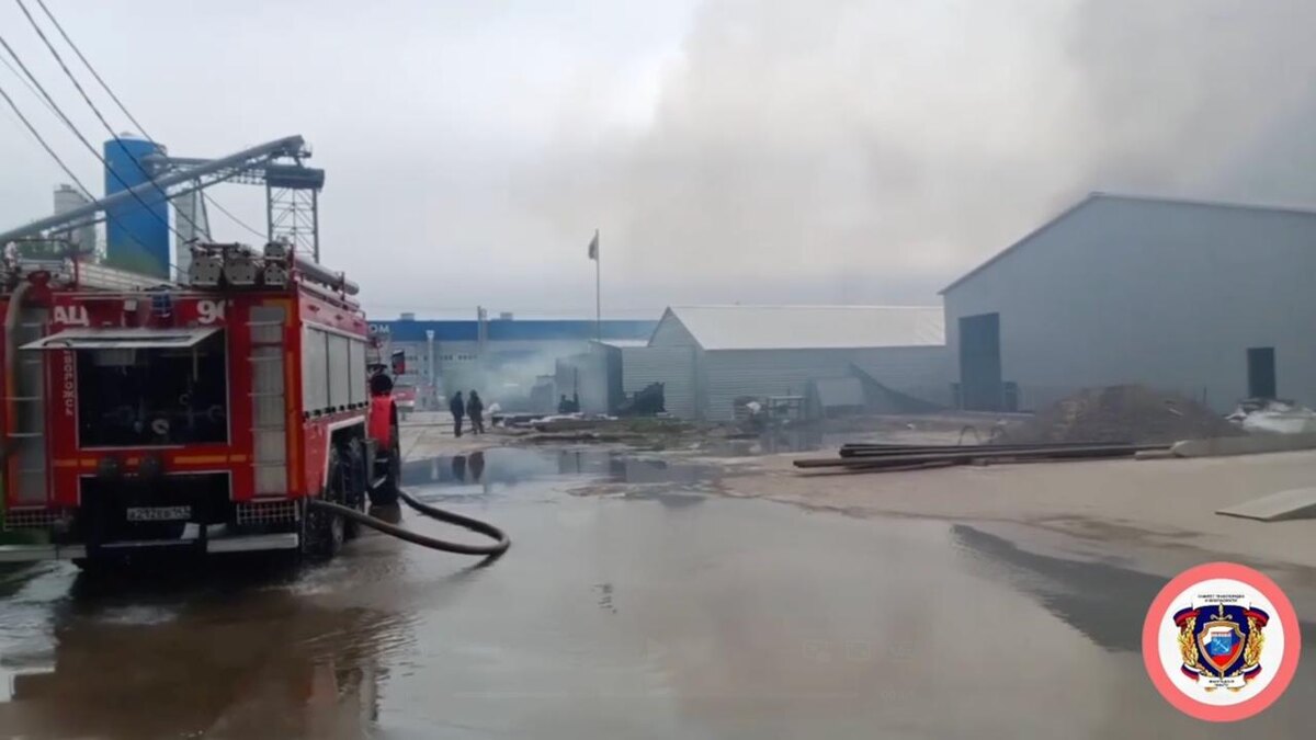 Фото: кадр из видео пресс-службы Комитета правопорядка и безопасности ЛО
