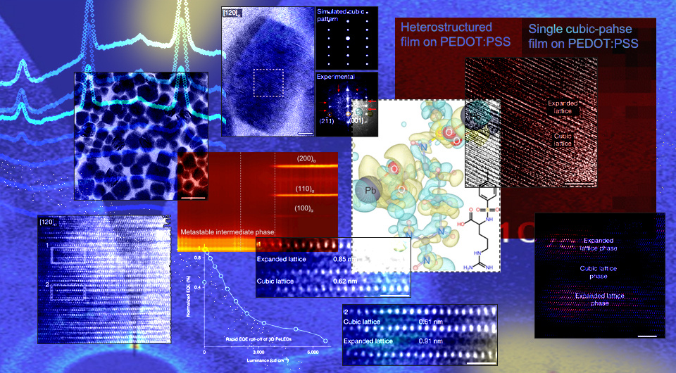   N + 1; Yao et al. / Nature, 2025