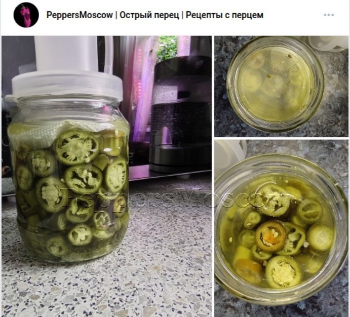 Ферментированный перец халапеньо - оченьвкусный