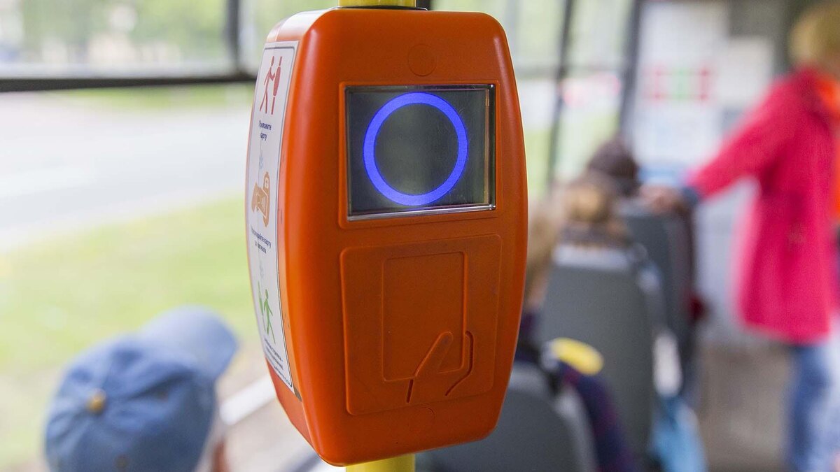    Фото: Aleksey Smyshlyaev/globallookpress.com