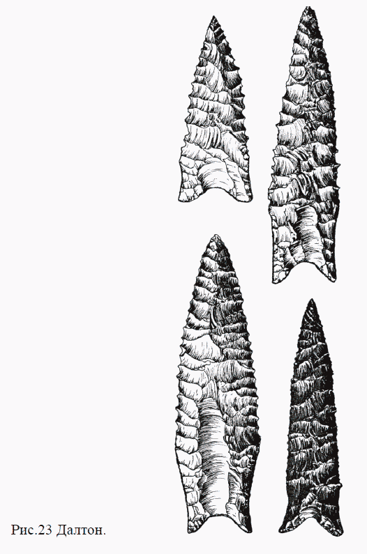 Наконечники Далтон