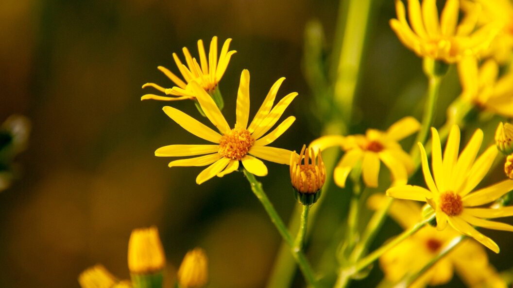    Svetlana Vozmilova/Globallookpress