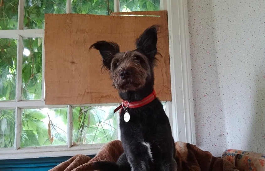 На даче,фото из архива.