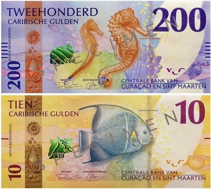 Красочный океанский мир тропиков