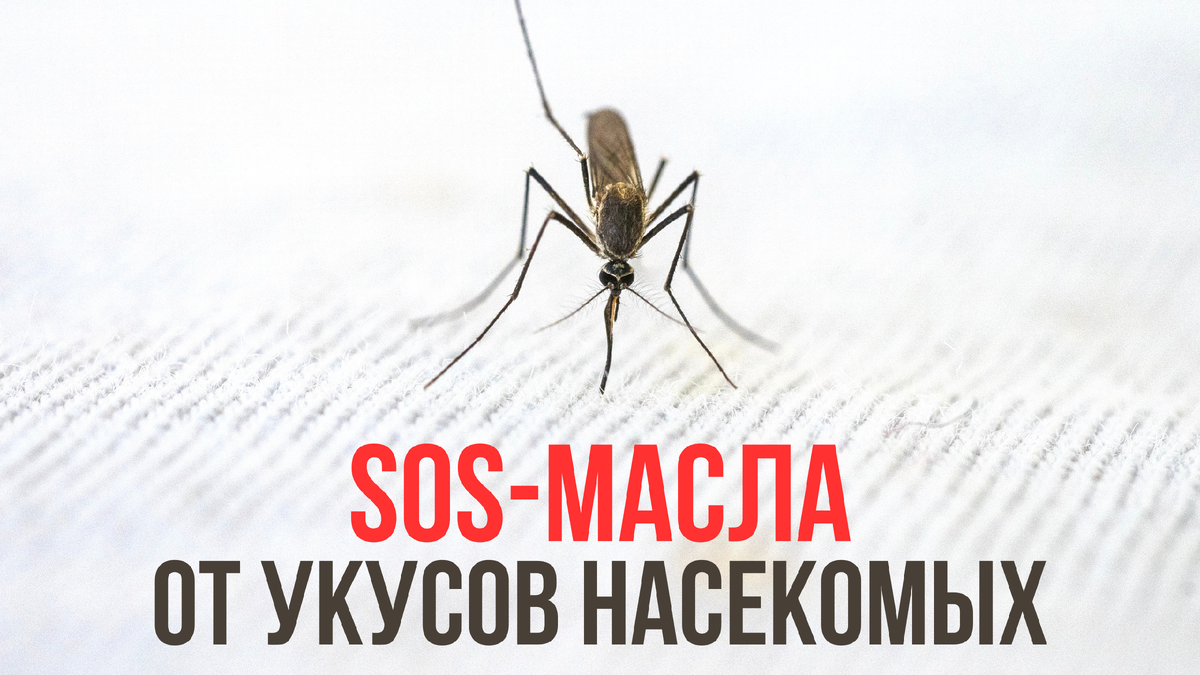 Эфирные масла при укусах насекомых