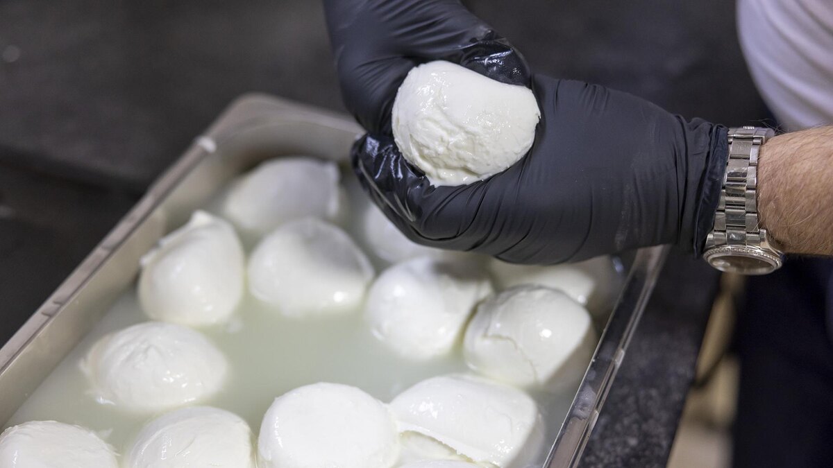 Фото: Helmut Fricke/globallookpress.com