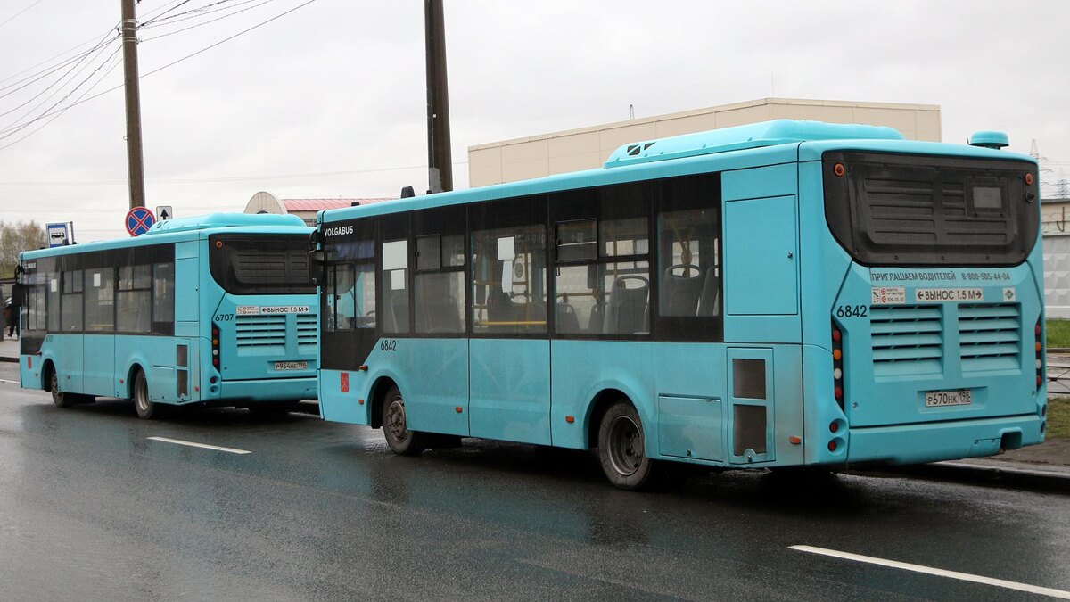    Фото: Maksim Konstantinov/globallookpress.com