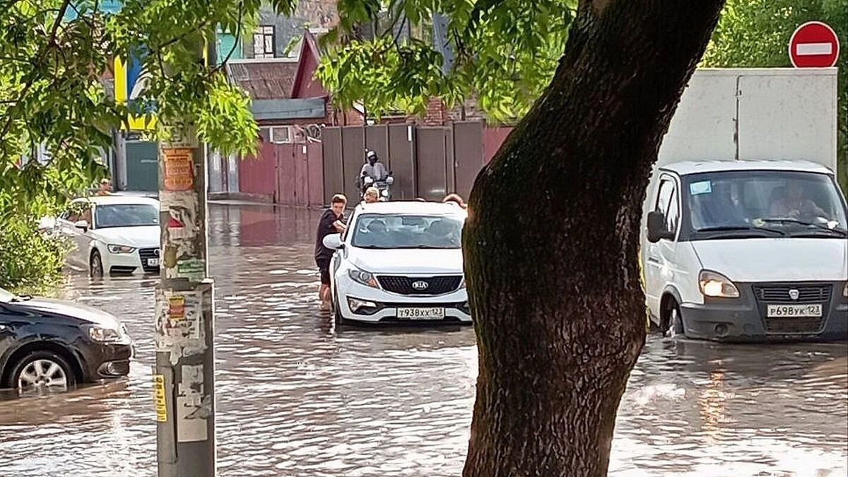     Автор: KubanPress