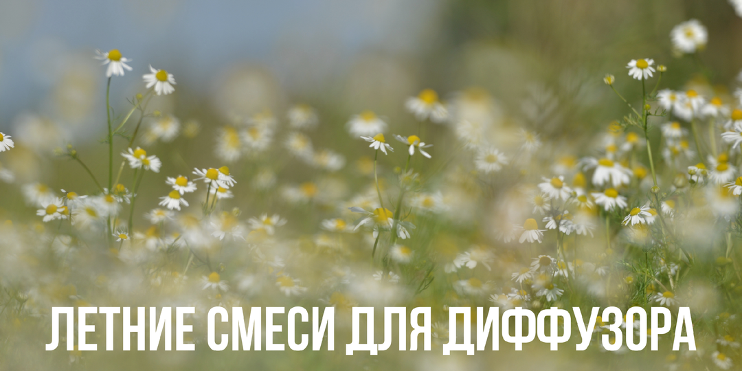 Лето в аромате: 6 освежающих смесей для диффузора