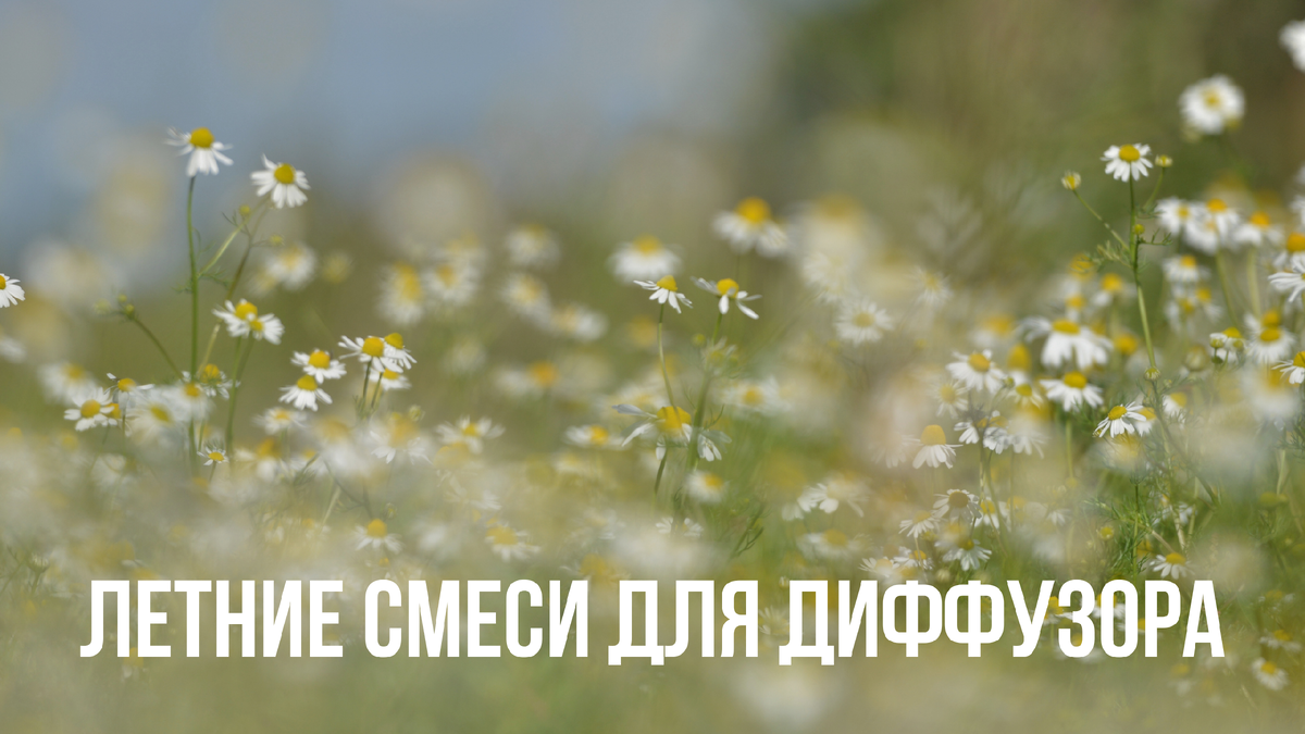 6 освежающих смесей для диффузора