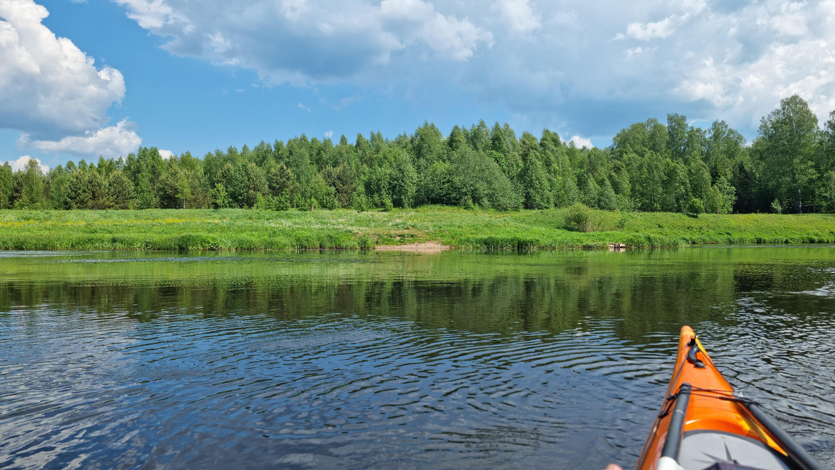 Берег реки этим утром. Солнце припекает, и уже слышны звуки живности.