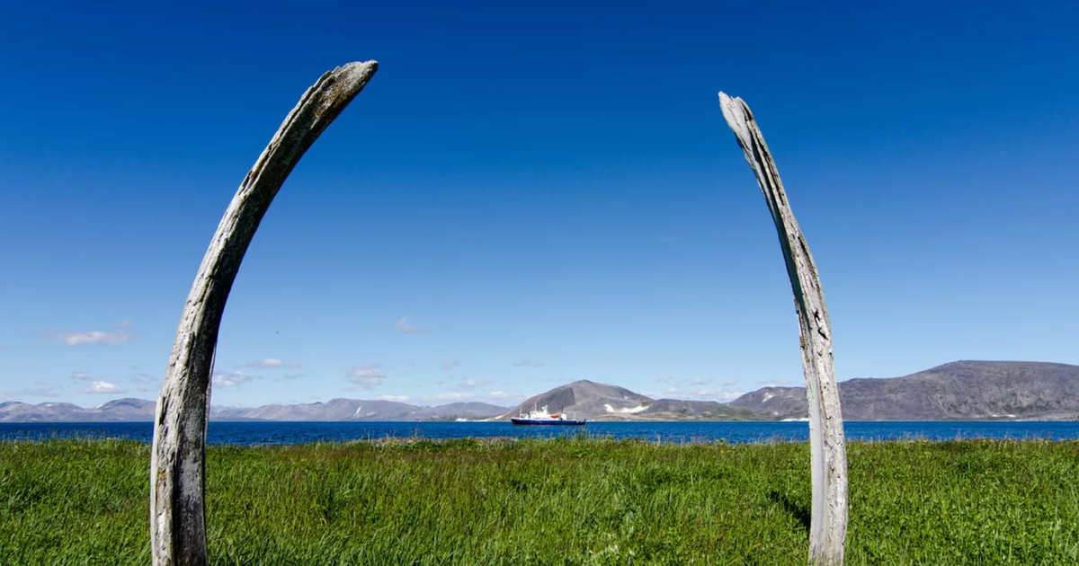 © CC BY-SA 2.0 / funtopia.tv / flickr