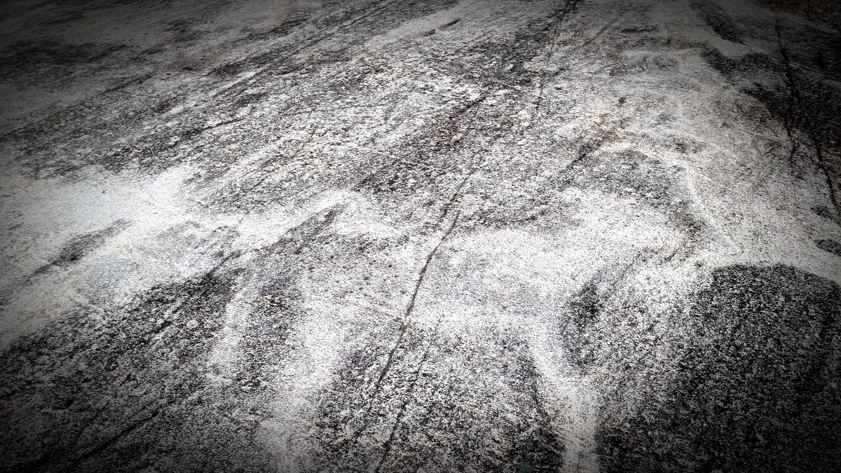 Петроглифы, лоси, Залавруга, личное фото